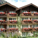 Hotel Sonne 4*